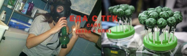 хмурый Аркадак