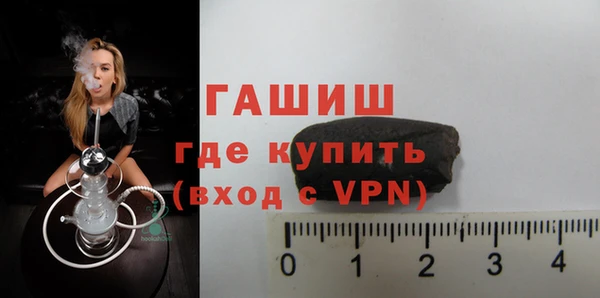 хмурый Аркадак