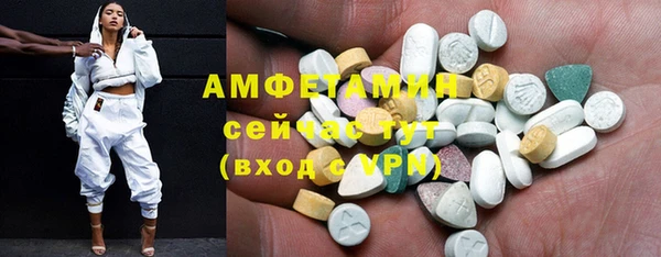 хмурый Аркадак